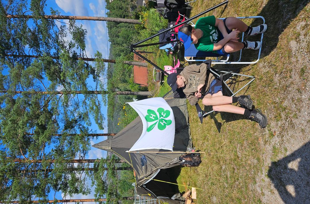 Bilde/illustrasjon om Tryta 4H